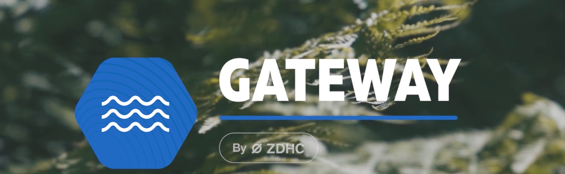 gateway zdhc